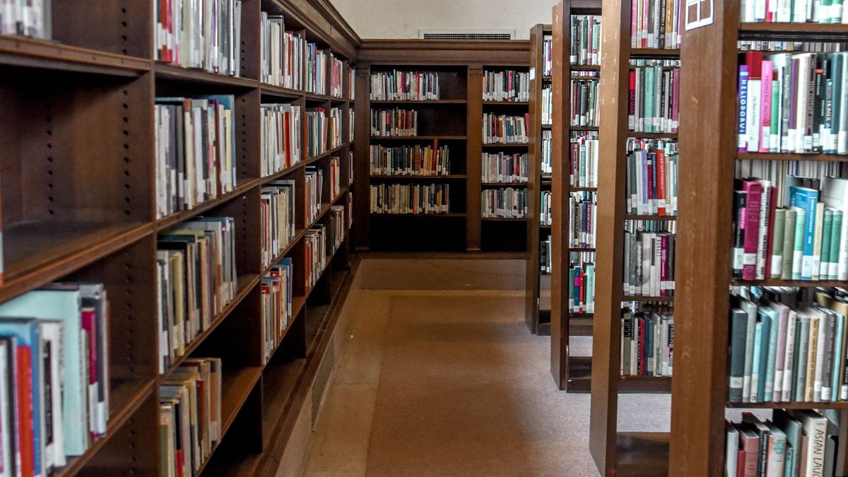 Allée entre des rayonnages de bibliothèque